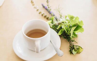 The Best Herbs for Heavy Menstrual Bleeding