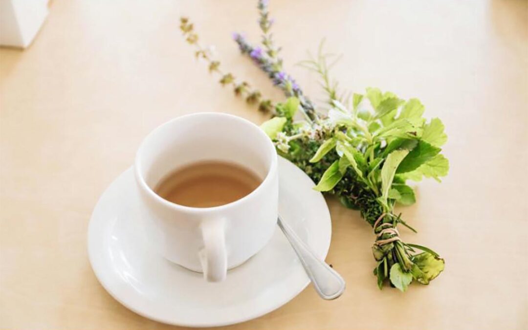 The Best Herbs for Heavy Menstrual Bleeding