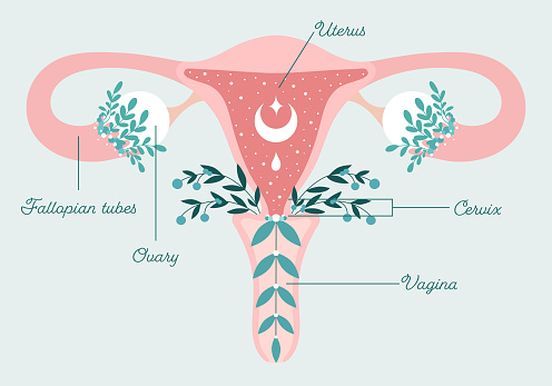 8 Benefits of ovulation tracking
